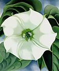 Georgia O'Keeffe Jimson Weed 1932 painting